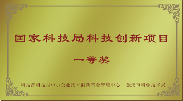 國家科技創(chuàng)新一等獎
